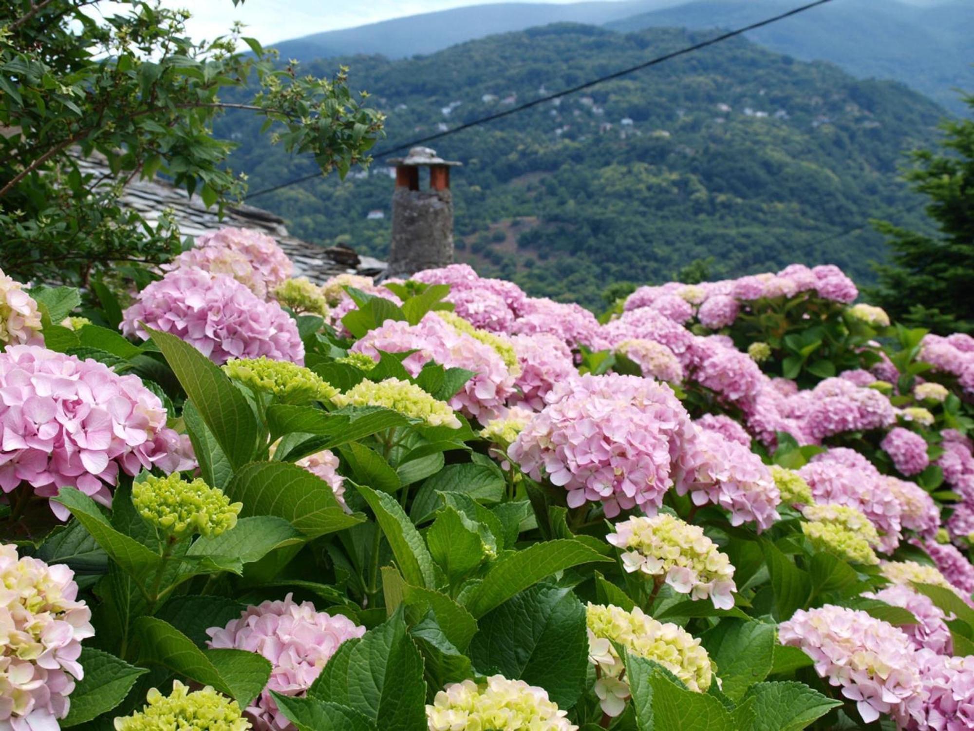 Villa Zina Agios Dimitrios Áyios Dhimítrios Buitenkant foto